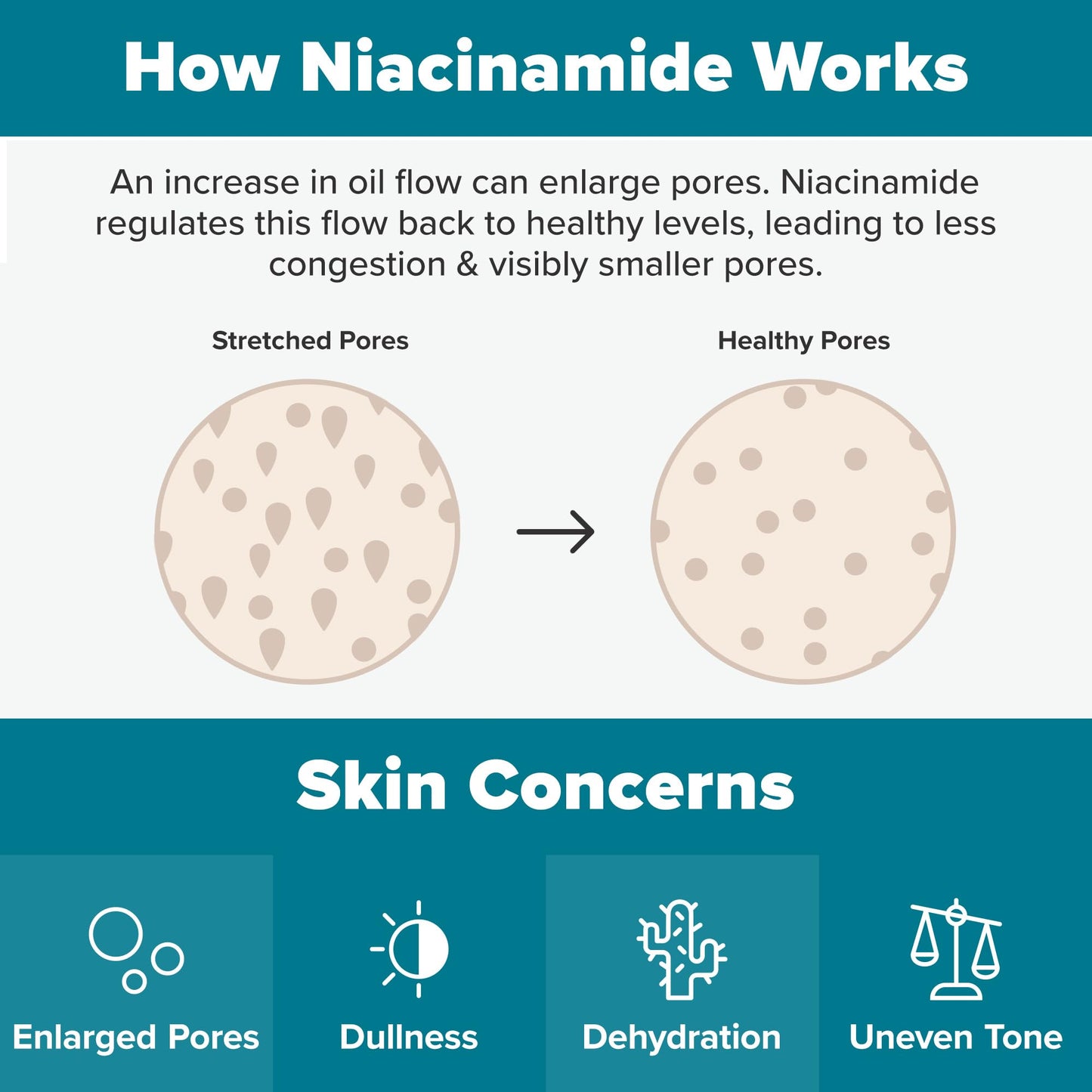 Paula's Choice Skin Balancing Pore-Reducing Face Toner with Niacinamide, for Oily Skin & Combination, Minimizes Large Pores, Controls Oil & Shine, Hydrates & Replenishes, Fragrance-Free, 6.4oz