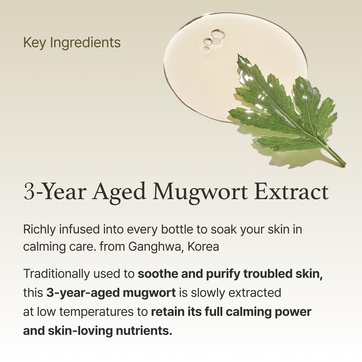 I'm From Mugwort Essence | Vegan Extract - Soothe Sensitive and Irritated Skin, Redness Relief, Refreshing, Korean Hydrating Toner | 5.4 Fl Oz, All Skin Types, PETA Approved