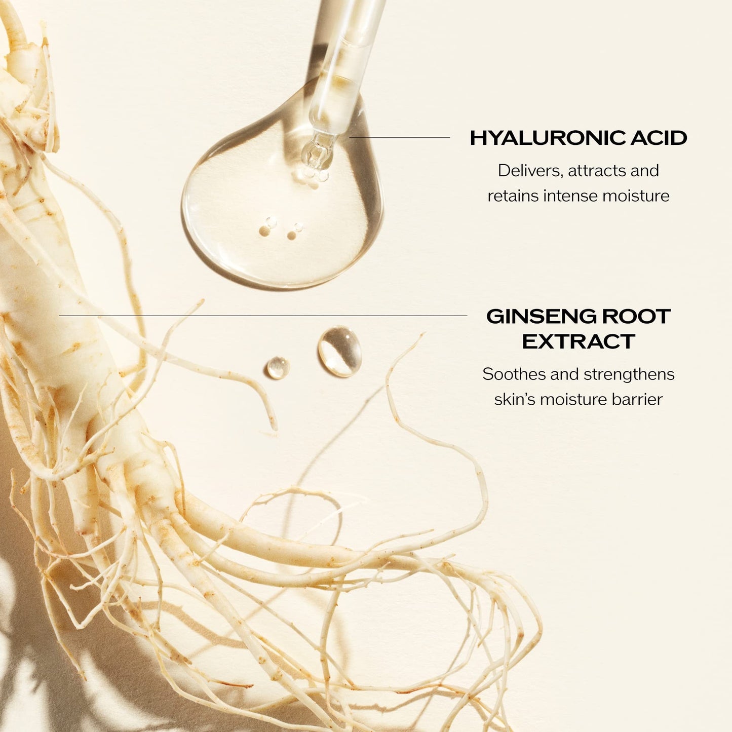 Shiseido Essential Energy Hydrating Cream - 50 mL - Visibly Reduces the Look of Pores & Fine Lines - With Hyaluronic Acid - 24-Hour Hydration - Vegan - All Skin Types