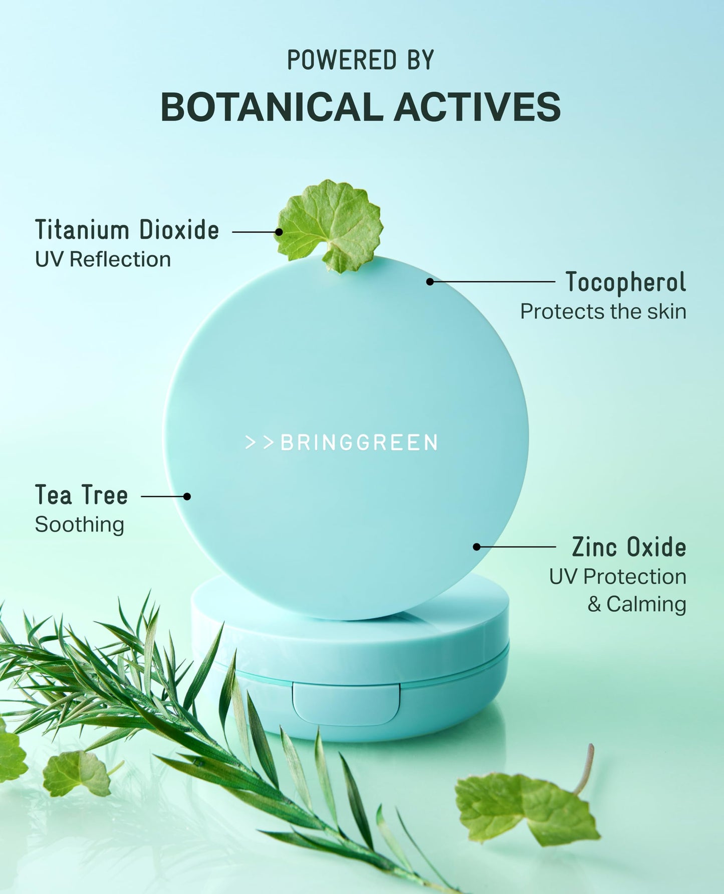 BRING GREEN Tea Tree CICA Facial Sun Cushion SPF 50+ PA++++ | Korean Mineral Sunscreen for Face | Non-Nano, Reef-Safe, Redness Correcting with Zinc Oxide | Travel Size Sun Protection