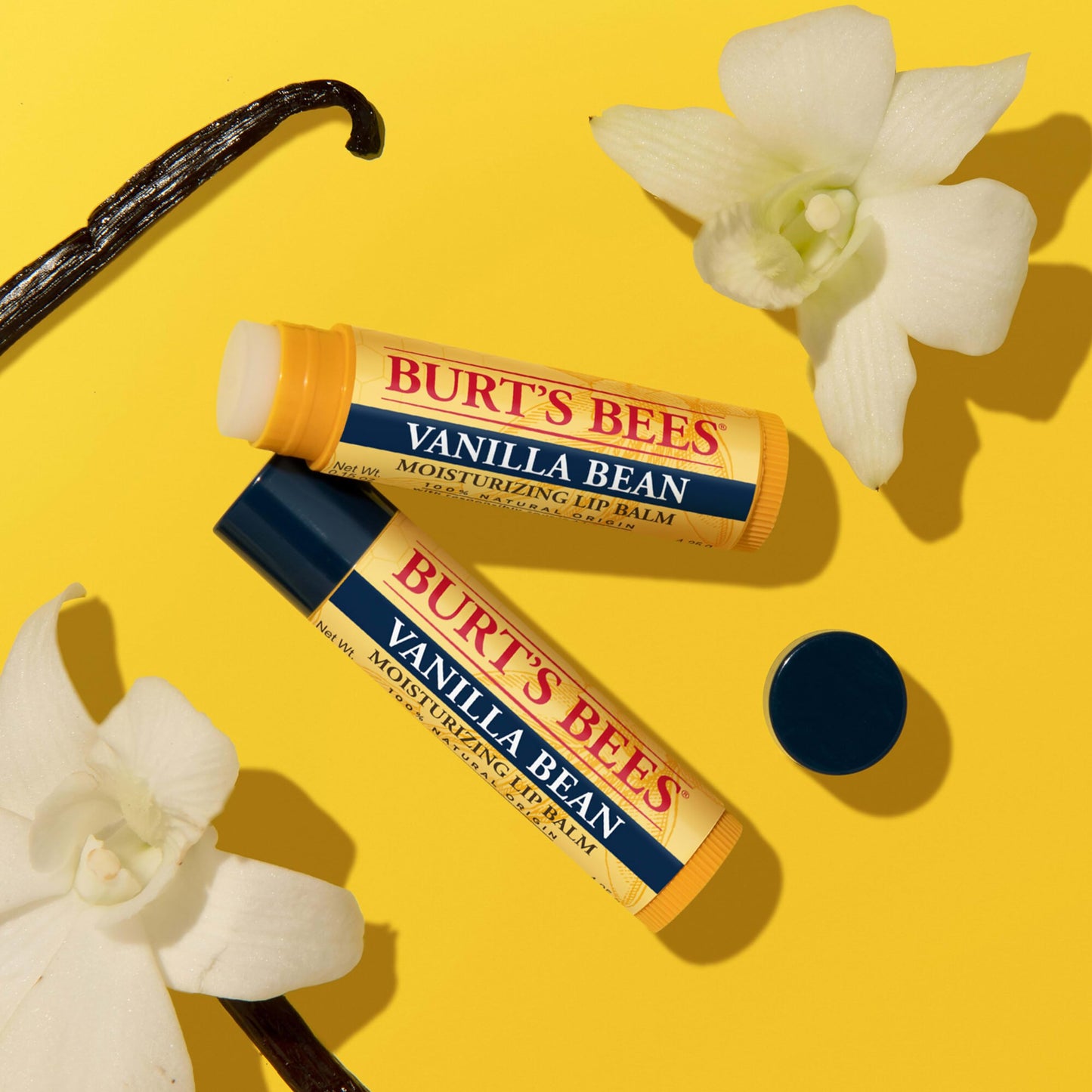Burt's Bees Lip Balm - Vanilla Bean, Lip Moisturizer With Responsibly Sourced Beeswax, Tint-Free, Natural Origin Conditioning Treatment, 2 Tubes, 0.15 oz.