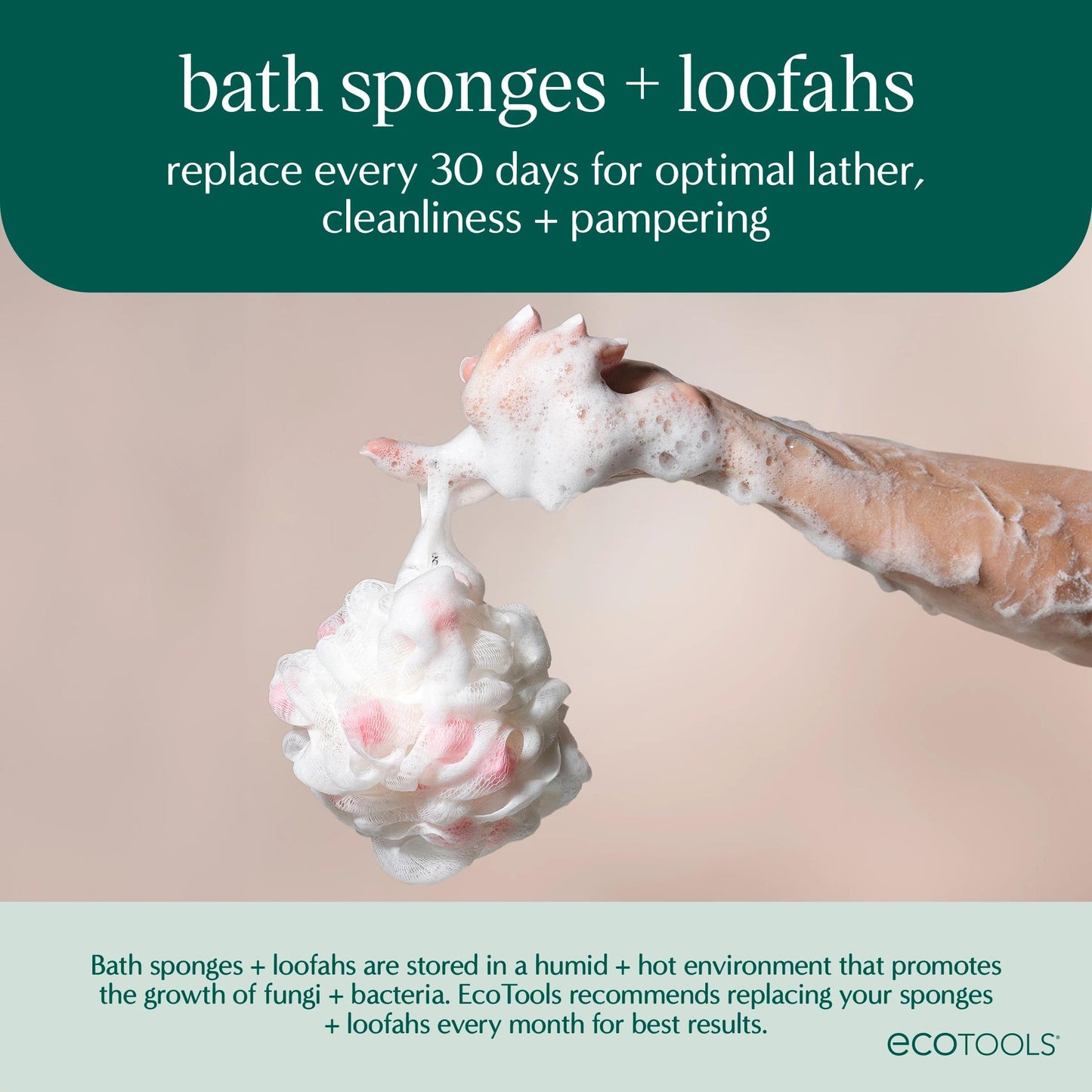 EcoTools Delicate EcoPouf 4 Pack, Loofah Sponge for Bath & Shower, Recycled Netting, Gentle Exfoliation, Pouf for Body Wash, Eco-Friendly Bath Accessory, Cruelty-Free, Color May Vary, (60g Each)