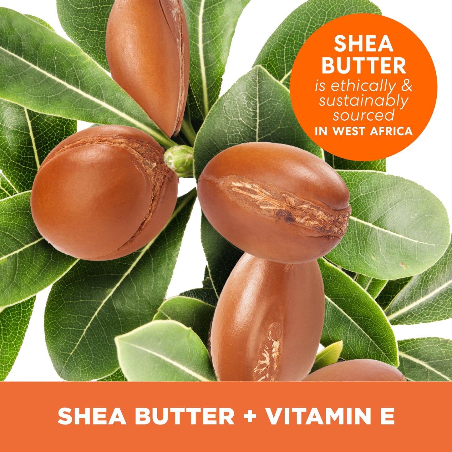 Palmer's Shea Butter Formula Raw African Shea Butter Balm, Nourishing Body Moisturizer for Rough, Dry Skin, 7.25 Ounces